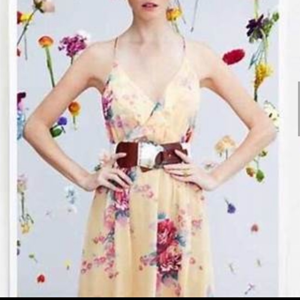 Anthropologie dress by meadow rue